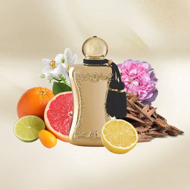 اسانس پارفوم دو مارلی دارسی ( 1 گرم )